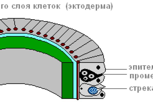 Kraken 16 at сайт