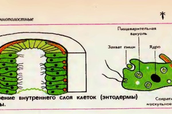 Кракен ссылка на сайт com