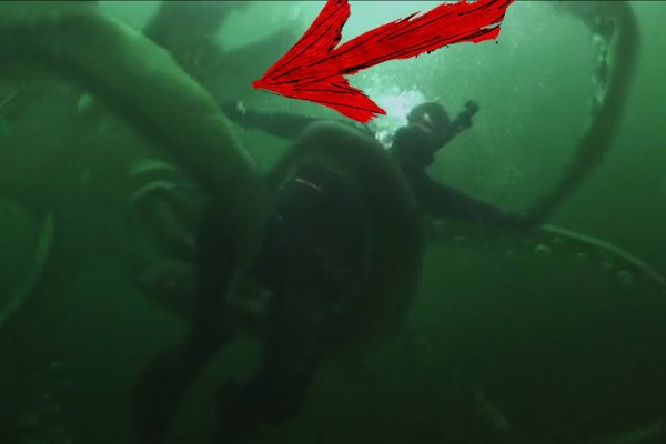 Kraken17 at сайт